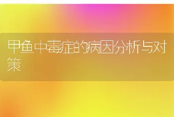 甲鱼中毒症的病因分析与对策