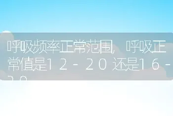 呼吸频率正常范围，呼吸正常值是12-20还是16-20