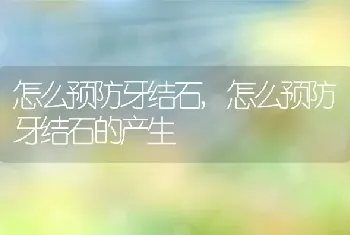 怎么预防牙结石，怎么预防牙结石的产生