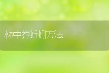 林中养蚯蚓方法