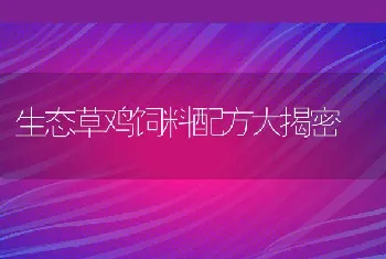 生态草鸡饲料配方大揭密