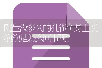 刚生没多久的孔雀鱼身上长泡泡是怎么回事啊？