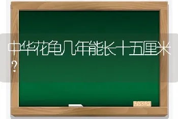 中华花龟几年能长十五厘米？