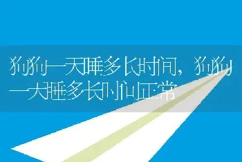 狗狗一天睡多长时间，狗狗一天睡多长时间正常