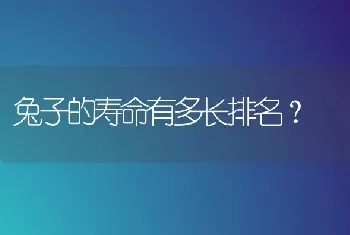 兔子的寿命有多长排名？