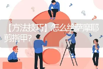 【方法技巧】怎么给萨摩耶剪指甲？