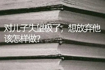 对儿子失望极了，想放弃他该怎样做？