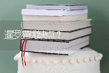 狗的耳朵为什么这么长？