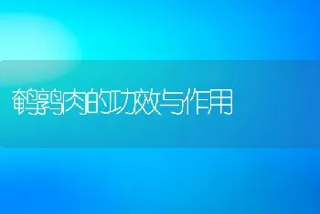 鹌鹑肉的功效与作用