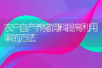 农户自产养猪饲料提高利用率的方法