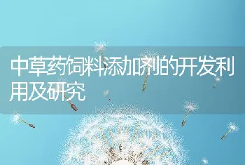 母猪配种前喂青霉素可提高受胎率