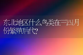 90斤的拉布拉多一天喂食多少合适？