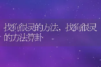 找狗很灵的方法，找狗很灵的方法算卦