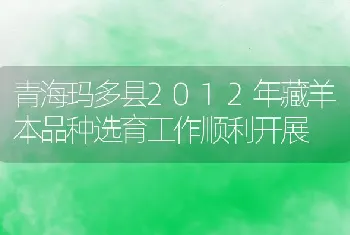 转基因抗虫彩棉家族又添新成员