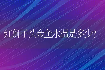 红狮子头金鱼水温是多少？