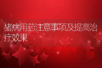 猪病用药注意事项及提高治疗效果