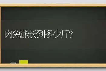 肉兔能长到多少斤？