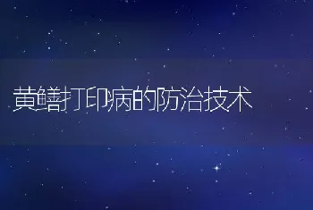 黄鳝打印病的防治技术