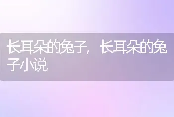 长耳朵的兔子，长耳朵的兔子小说