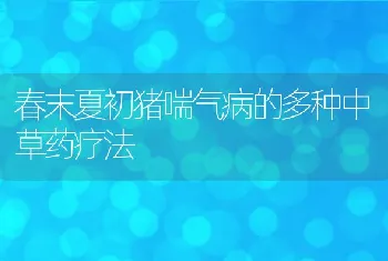 春末夏初猪喘气病的多种中草药疗法