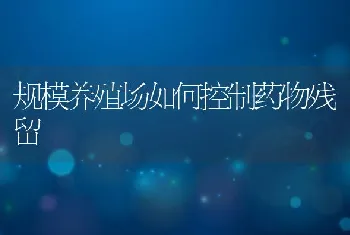 规模养殖场如何控制药物残留