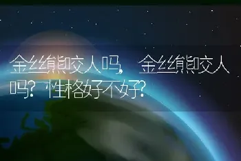 金丝熊咬人吗，金丝熊咬人吗？性格好不好？