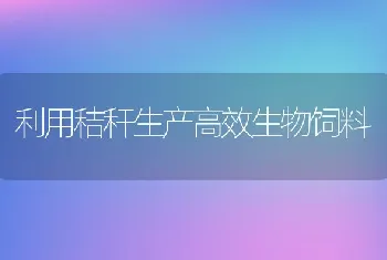 利用秸秆生产高效生物饲料