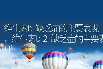 维生素b缺乏症的主要表现，维生素b2缺乏症的主要表现