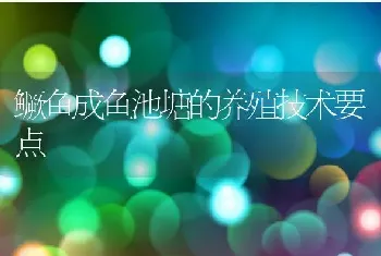 鳜鱼成鱼池塘的养殖技术要点