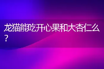 龙猫能吃开心果和大杏仁么？