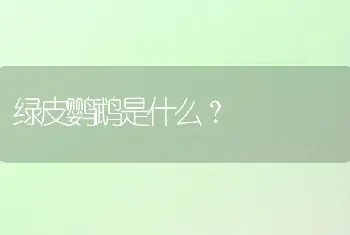 绿皮鹦鹉是什么？