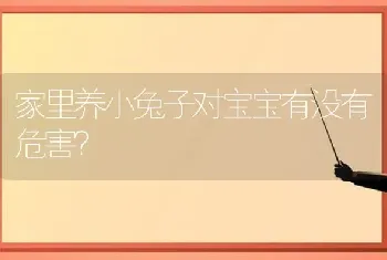 家里养小兔子对宝宝有没有危害？