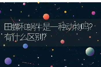 田螺和蜗牛是一种动物吗？有什么区别？