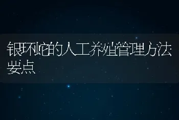 银环蛇的人工养殖管理方法要点