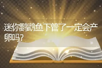 迷你鹦鹉鱼下管了一定会产卵吗？