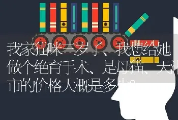 我家猫咪三岁了、我想给她做个绝育手术、是母猫、天津市的价格大概是多少？