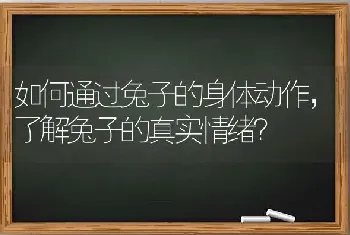 如何通过兔子的身体动作，了解兔子的真实情绪？