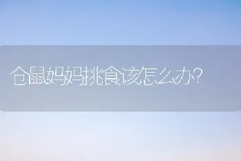 红脚龟是国家几级保护动物？