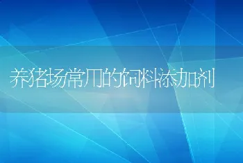 养猪场常用的饲料添加剂