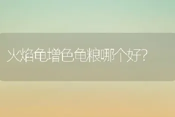 火焰龟增色龟粮哪个好？