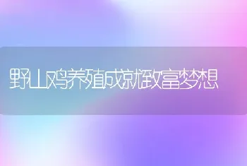 野山鸡养殖成就致富梦想