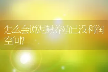 怎么会说泥鳅养殖已没利润空间？