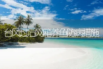 台风过后网箱养鱼防病措施