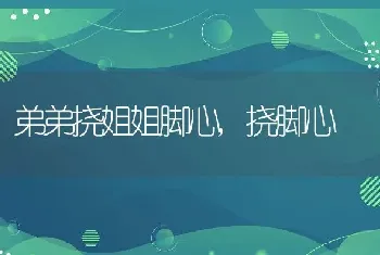 弟弟挠姐姐脚心，挠脚心