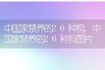 中国家禁养的26种狗，中国家禁养的26种狗图片