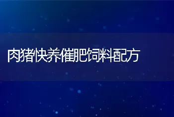 肉猪快养催肥饲料配方