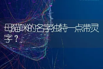 母猫咪的名字独特一点带灵字？