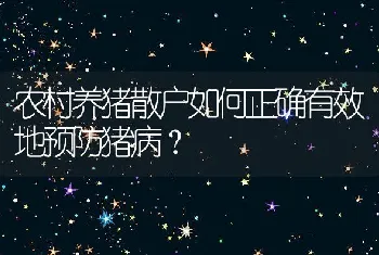 农村养猪散户如何正确有效地预防猪病？