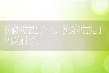 狗能吃提子吗，狗能吃提子吗为什么