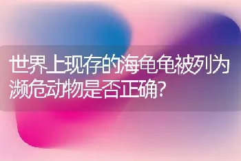 世界上现存的海龟龟被列为濒危动物是否正确？